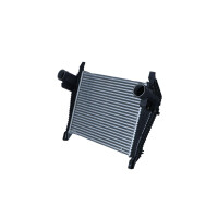 Intercooler 531 mm - 437 mm NRF suitable for e.g. IVECO...