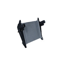 Intercooler 531 mm - 437 mm NRF suitable for e.g. IVECO EUROCARGO