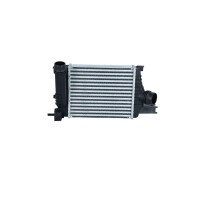 Intercooler 260 mm - 214 mm NRF suitable for e.g. RENAULT...