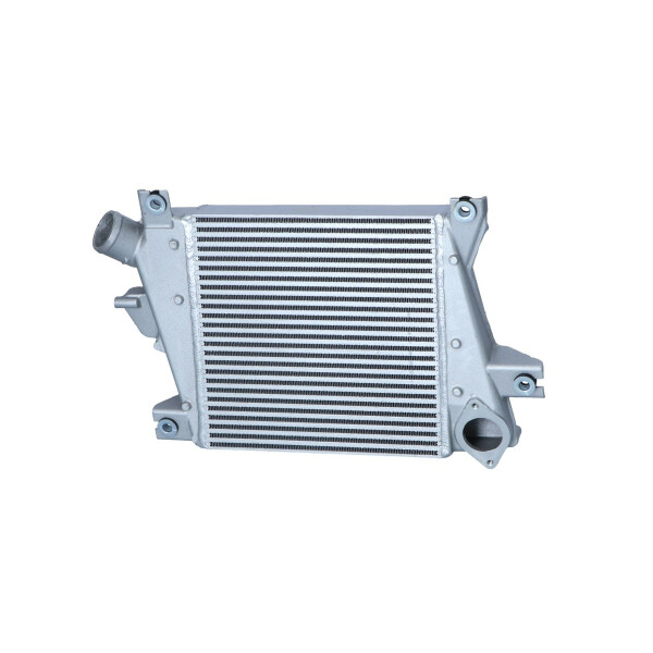 Ladeluftkühler 298 mm - 295 mm NRF passend für NISSAN X-TRAIL