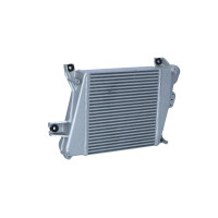 Ladeluftkühler 298 mm - 295 mm NRF passend für NISSAN X-TRAIL