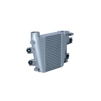 Ladeluftkühler 250 mm - 154 mm NRF passend für u.a. NISSAN PATROL