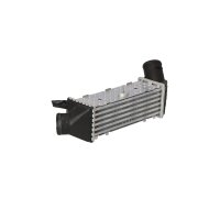 Ladeluftkühler 295 mm - 94 mm NRF passend für u.a. SEAT CORDOBA