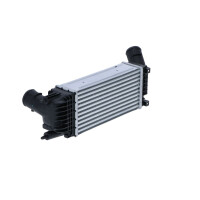 Ladeluftkühler 300 mm - 147 mm NRF passend für u.a. PEUGEOT 407