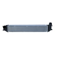 Ladeluftkühler NRF für RENAULT LAGUNA III