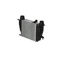 Intercooler 210 mm - 203 mm NRF suitable for e.g. RENAULT CLIO