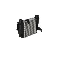 Intercooler 210 mm - 203 mm NRF suitable for e.g. RENAULT CLIO