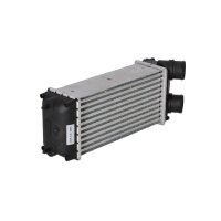 Ladeluftkühler 300 mm - 147 mm NRF passend für u.a. CITROËN C4