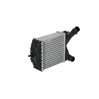 Ladeluftkühler 209 mm - 192 mm NRF passend für u.a. LANCIA YPSILON
