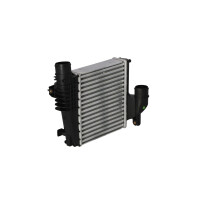 Ladeluftkühler 246 mm - 217 mm NRF passend für u.a. PEUGEOT 308