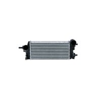Intercooler 343 mm - 157 mm NRF suitable for e.g. FORD C-MAX