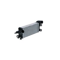 Intercooler 343 mm - 157 mm NRF suitable for e.g. FORD C-MAX