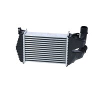 Ladeluftkühler Kühlrippen gelötet 262 mm - 182 mm NRF für u.a. OPEL ASTRA