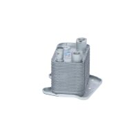 Ölkühler 160 mm - 137 mm NRF für u.a. MERCEDES-BENZ C-KLASSE