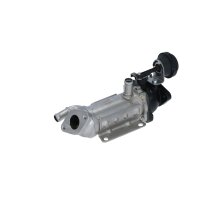 Radiator exhaust gas recirculation NRF Thermo suitable for e.g. RENAULT ESPACE