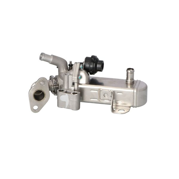 Radiator exhaust gas recirculation NRF Thermo suitable for e.g. NISSAN NAVARA