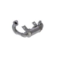 Kühler Abgasrückführung Hochdruckseite NRF für u.a. FORD TOURNEO