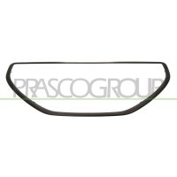 Decorative/protective strip radiator grille PRASCO for...