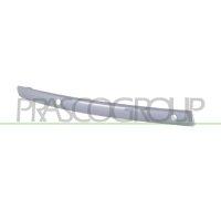 Decorative/protective strip bumper PRASCO for BMW 1 (E87)