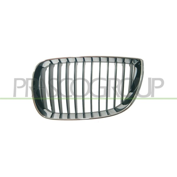 Kühlergitter PRASCO für BMW 1 (E87)