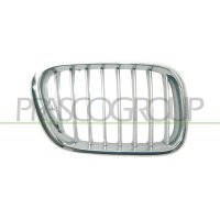 Radiator grille PRASCO for BMW X5 (E53)