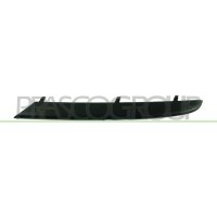 Decorative/protective strip radiator grille PRASCO for...