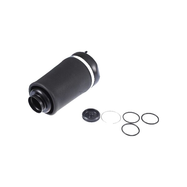 Air Spring Suspension TRISCAN IAM-Expertise suitable for e.g. MB M-CLASS