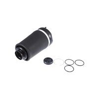 Air Spring Suspension TRISCAN IAM-Expertise suitable for...