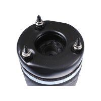 Air Spring Suspension TRISCAN IAM-Expertise suitable for...