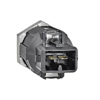 Klopfsensor VALEO IAM-Expertise passend für u.a. RENAULT CLIO