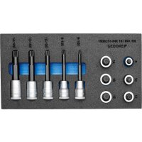 Satz Schraubendrehereinsätze 1/2 in Check-Tool-Modul...