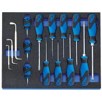Schraubendreher-Satz in Check-Tool-Modul 15-teilig GEDORE...