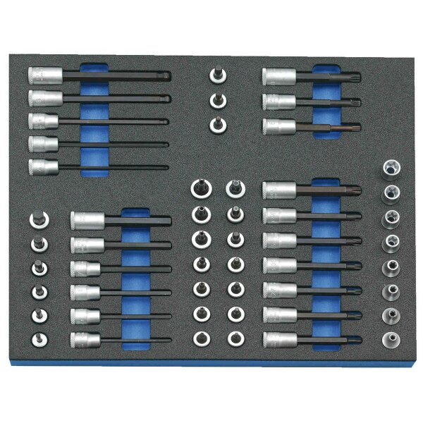Steckschlüssel-Satz 3/8 in Check-Tool-Modul 52-teilig GEDORE 2005 CT2-TX 30