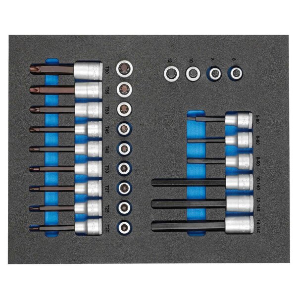 Satz Schraubendrehereinsätze 1/2 in 2/4 Check-Tool-Modul GEDORE TS CT2-ITX19