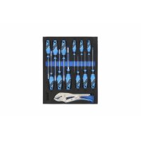 Tool Set in Tool Module Foam GEDORE Professional Tool...