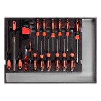 Werkzeugsatz Schraubendreher + Feilen CT-Modul 26-teilig...