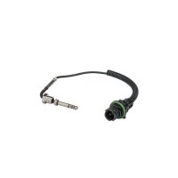 Exhaust gas temperature sensor screwed 2-pin 250 mm cable HELLA