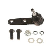 Support And Guide Joint TRISCAN IAM-Expertise for...