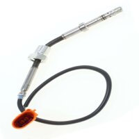 Sensor exhaust gas temperature exhaust gas recirculation...