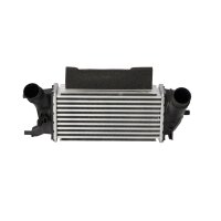 Ladeluftkühler 300 mm - 147 mm NRF passend für...