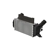 Ladeluftkühler 300 mm - 147 mm NRF passend für u.a. FORD FIESTA