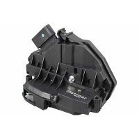 Türschloss hinten links mit Zentralverriegelung...