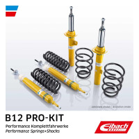 Suspension kit springs dampers 810 kg 995 kg EIBACH B12...