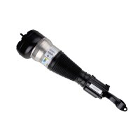 Air suspension strut front axle right gas lower fork...
