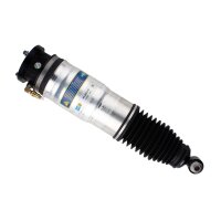 Air suspension strut rear axle right gas lower eye...