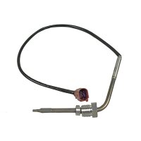 Exhaust gas temperature sensor before soot particle...