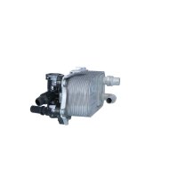 Ölkühler Anti-Motoröl-Überhitzung Automatikgetriebe NRF passend für u.a. BMW X3