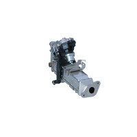EGR valve exhaust gas recirculation with seals NRF...