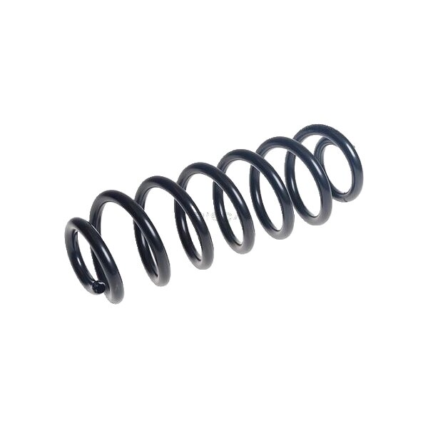 Suspension Spring Rear Axle Coil Spring TRISCAN for VW TIGUAN