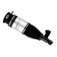 Air suspension strut rear axle right gas lower eye...